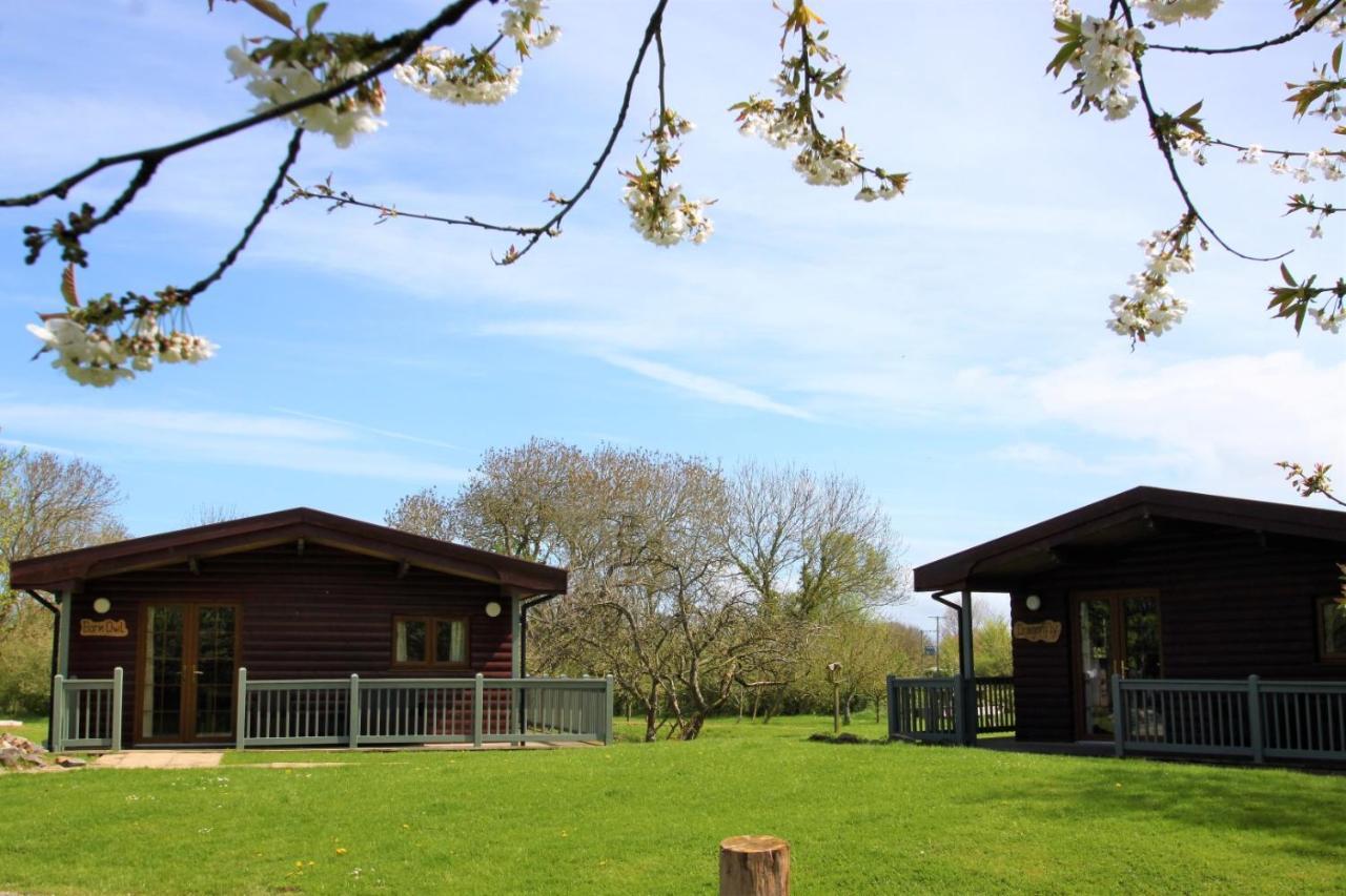Wall Eden Farm - Luxury Log Cabins And Glamping Highbridge Eksteriør billede