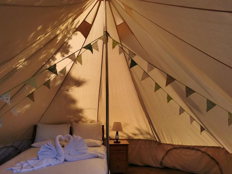 Wall Eden Farm - Luxury Log Cabins And Glamping Highbridge Eksteriør billede