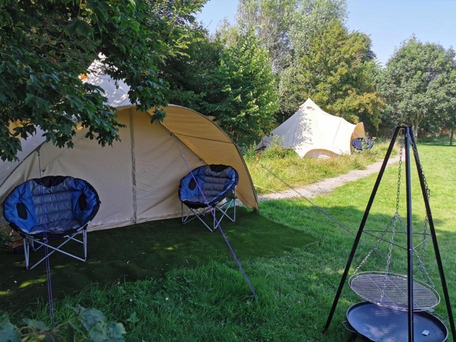 Wall Eden Farm - Luxury Log Cabins And Glamping Highbridge Eksteriør billede