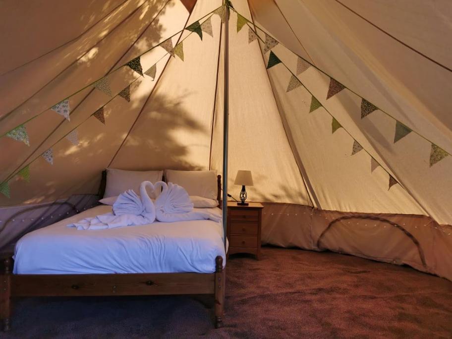 Wall Eden Farm - Luxury Log Cabins And Glamping Highbridge Eksteriør billede