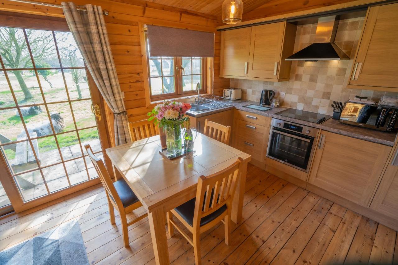 Wall Eden Farm - Luxury Log Cabins And Glamping Highbridge Eksteriør billede