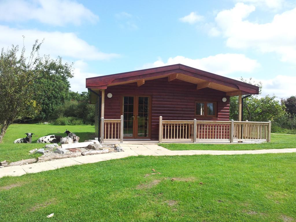 Wall Eden Farm - Luxury Log Cabins And Glamping Highbridge Værelse billede