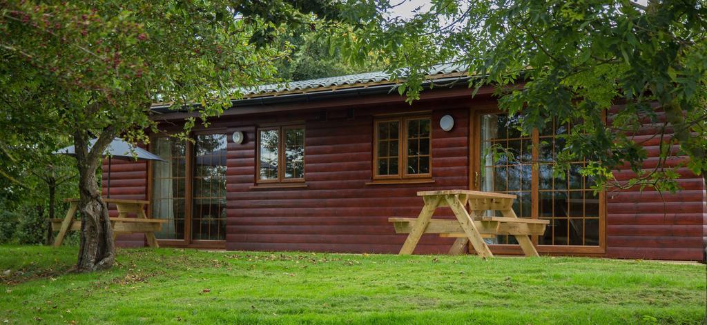 Wall Eden Farm - Luxury Log Cabins And Glamping Highbridge Eksteriør billede